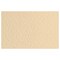 Fabriano Tiziano Drawing Paper, 20 in x 26 in, 98 lb./ 160 gsm, Pack of 10